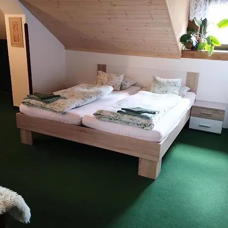 Guest house Sport